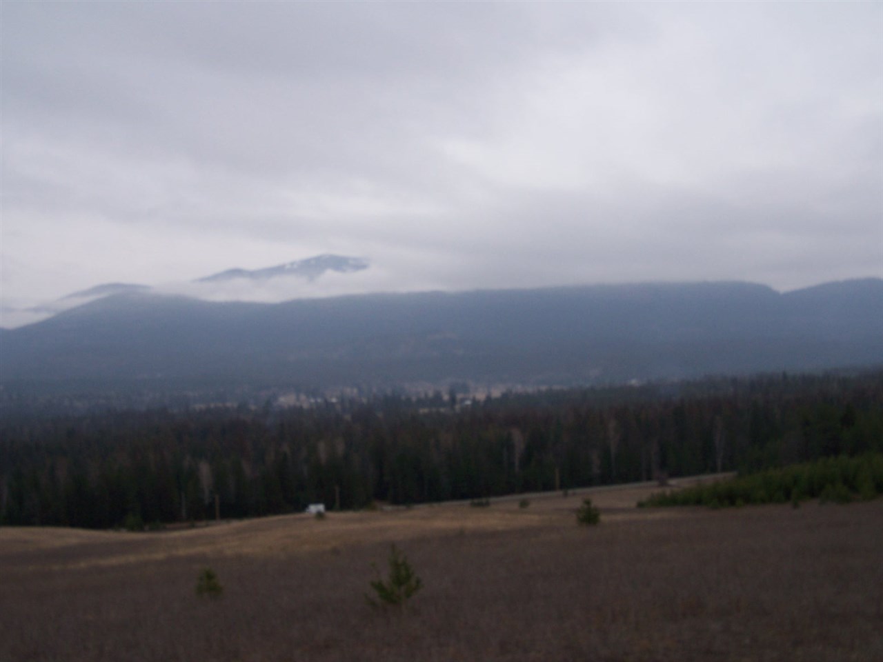 Lot C1 Greenhouse Road Ione, WA 99139 - Photo 3 of 11