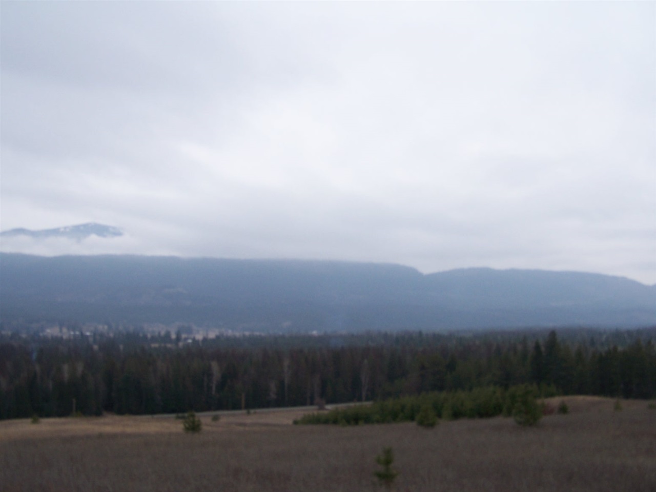 Lot C1 Greenhouse Road Ione, WA 99139 - Photo 4 of 11