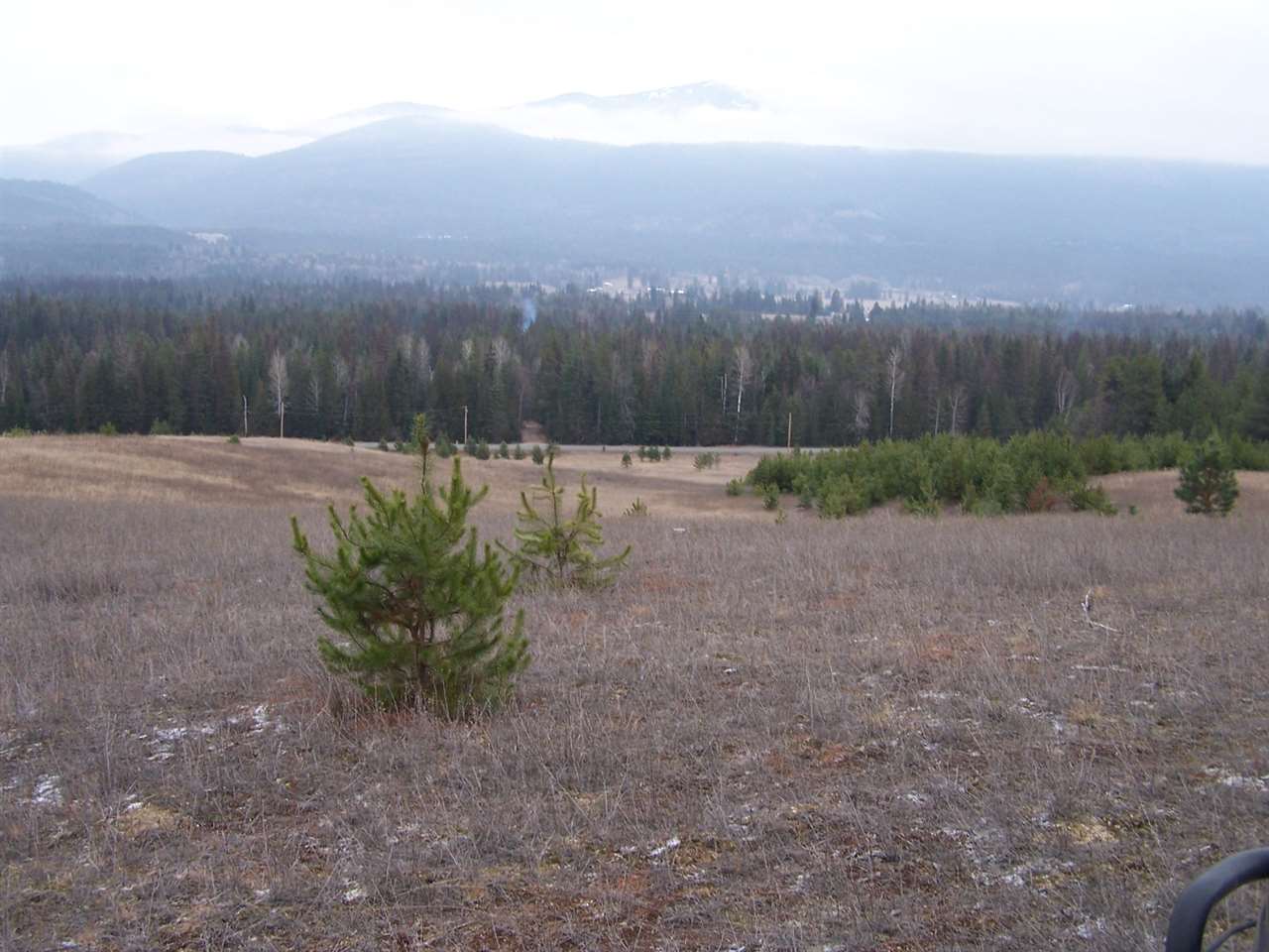 Lot C1 Greenhouse Road Ione, WA 99139 - Photo 6 of 11