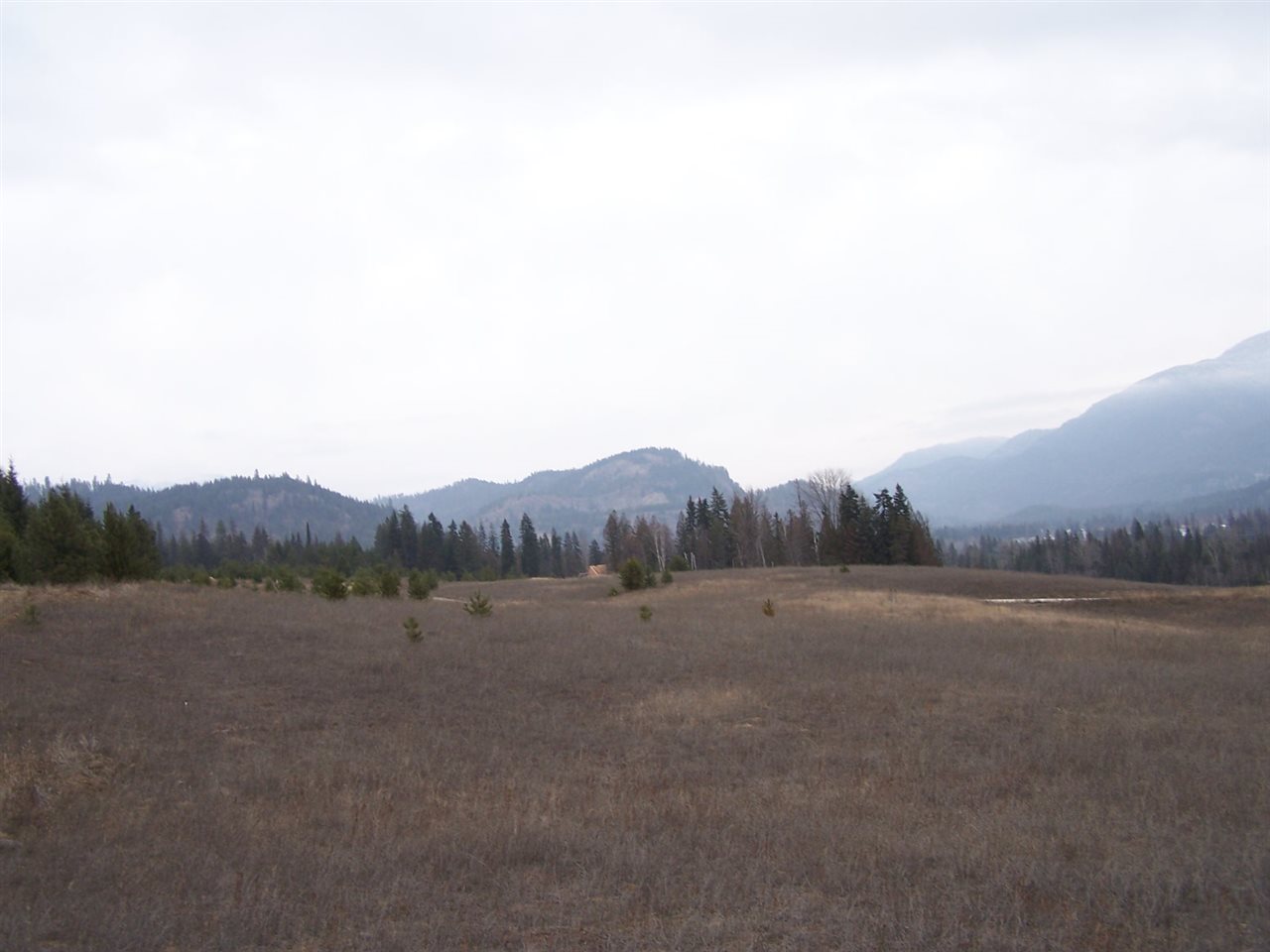 Lot C1 Greenhouse Road Ione, WA 99139 - Photo 7 of 11