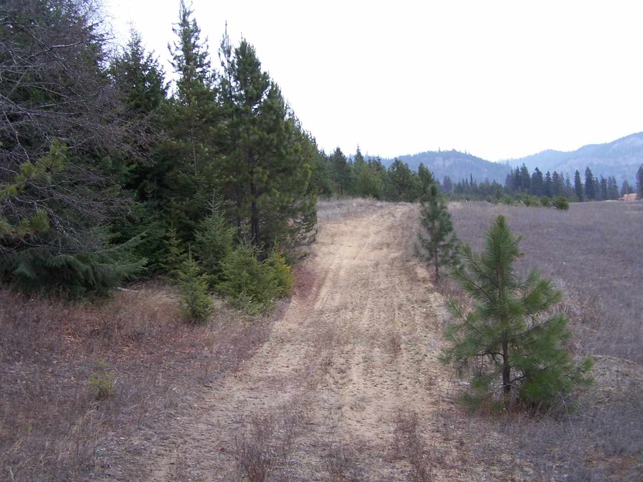 Lot C1 Greenhouse Road Ione, WA 99139 - Photo 8 of 11
