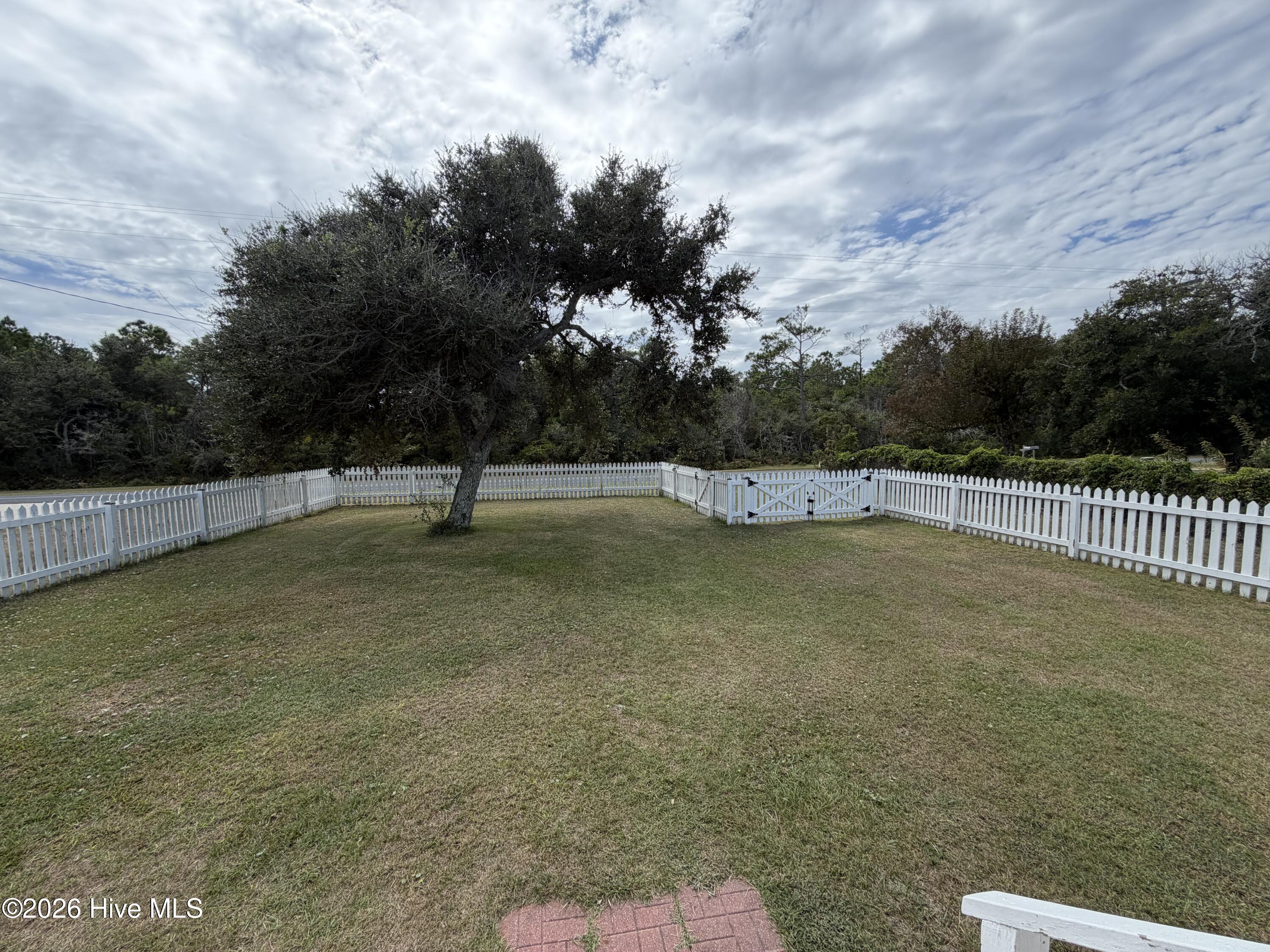 391 Lola Road Cedar Island, NC 28520 - Photo 33 of 34 Front yard.