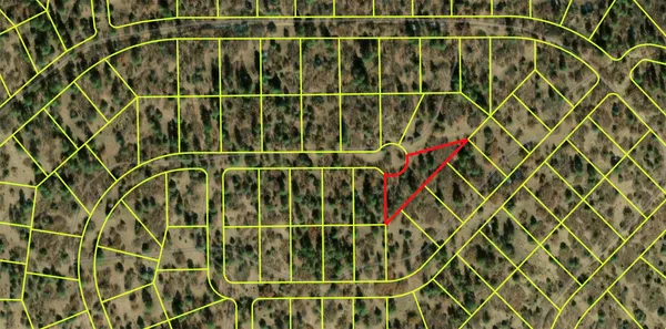 $4,000 | 19 Tzama Division, Tierra Amarilla, NM 87575