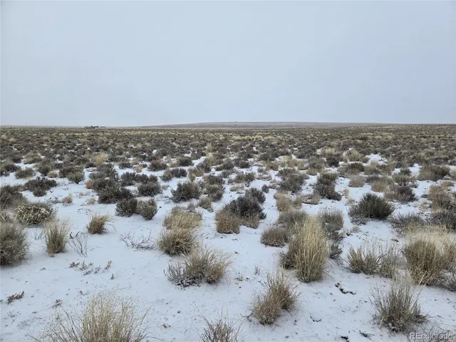 a view of a dry yard