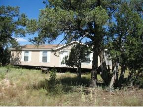 316 North Jolly Road Seligman, AZ 86337 - Photo 1 of 4 Primary Photo