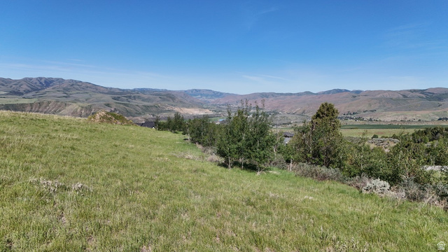 1398 Mogul Lane, Unit 1 Inkom, ID 83245 - Photo 16 of 33 Expansive grassy terrain on a sloped hillside, featuring distant mountain ranges and a valley with scattered trees