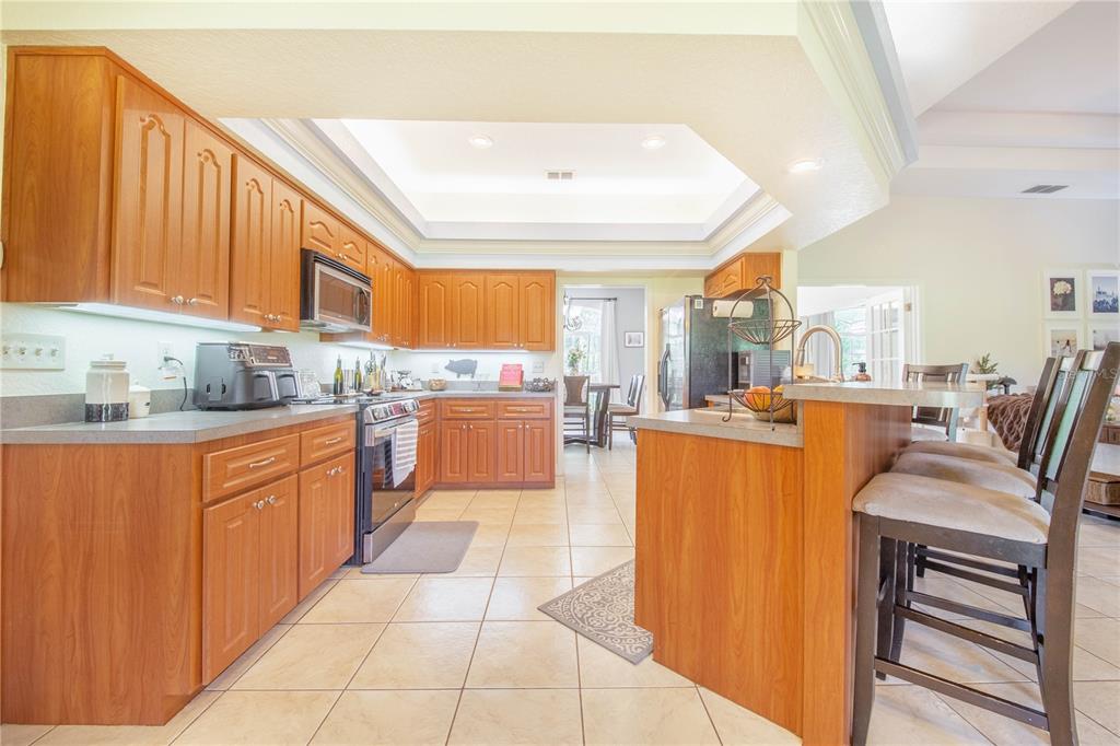 7152 Fussell Road Polk City, FL 33868 - Photo 10 of 56 Gallery Image 10