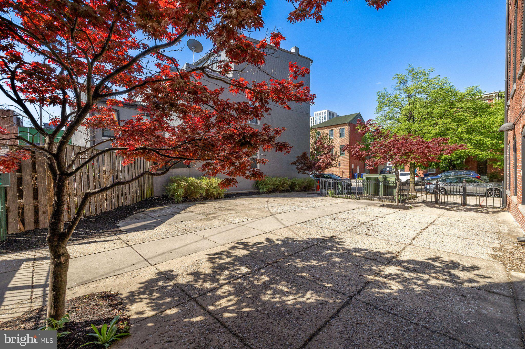 511 South Bond Street, Unit 302 Baltimore, MD 21231 - Photo 23 of 24 a street view with large trees
