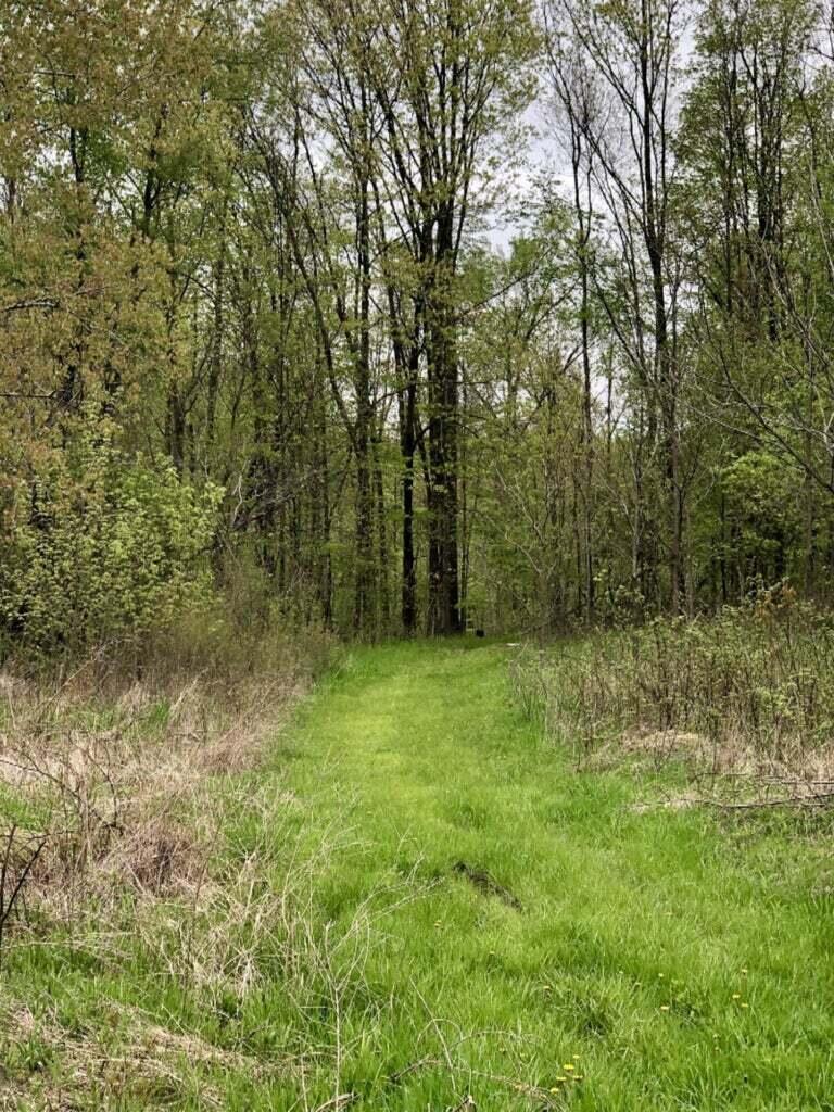 7840 Tamarack Road Pittsford, MI 49271 - Photo 34 of 58 outside 22
