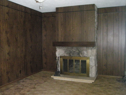 2523 Spring Creek Road Belvidere, IL 61008 - Photo 7 of 10 a close view of a fireplace with wooden fence