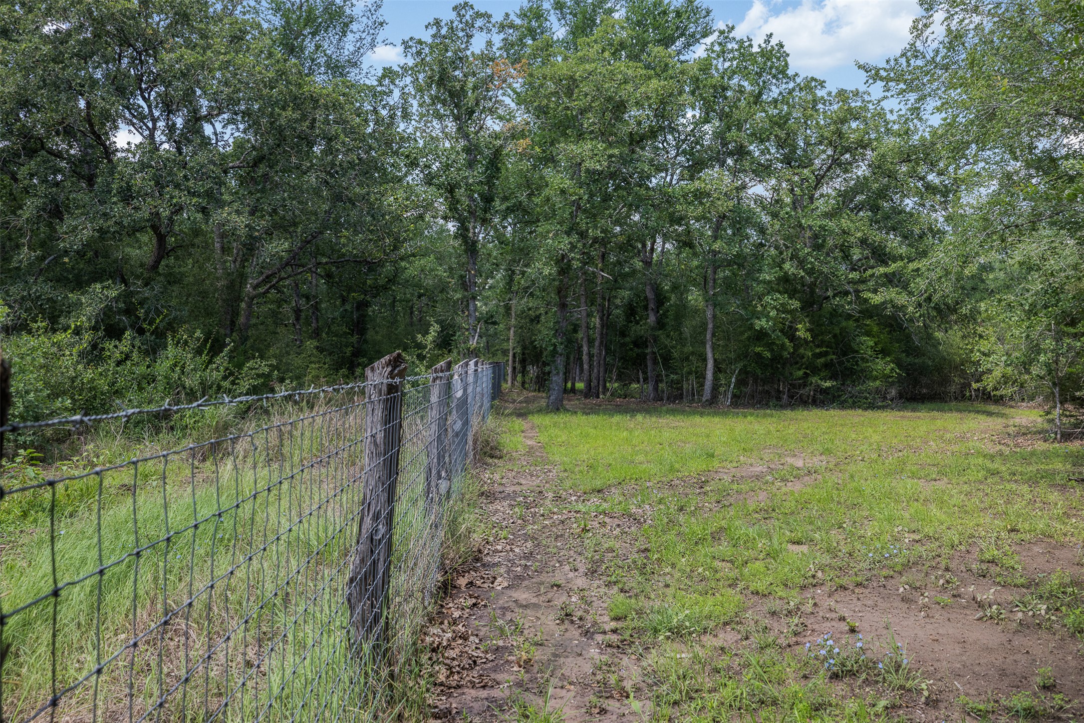 7132 Serenity Ranch Road Somerville, TX 77879 - Photo 13 of 27