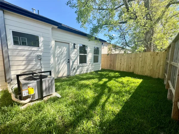 a view of a backyard with plants and large trees