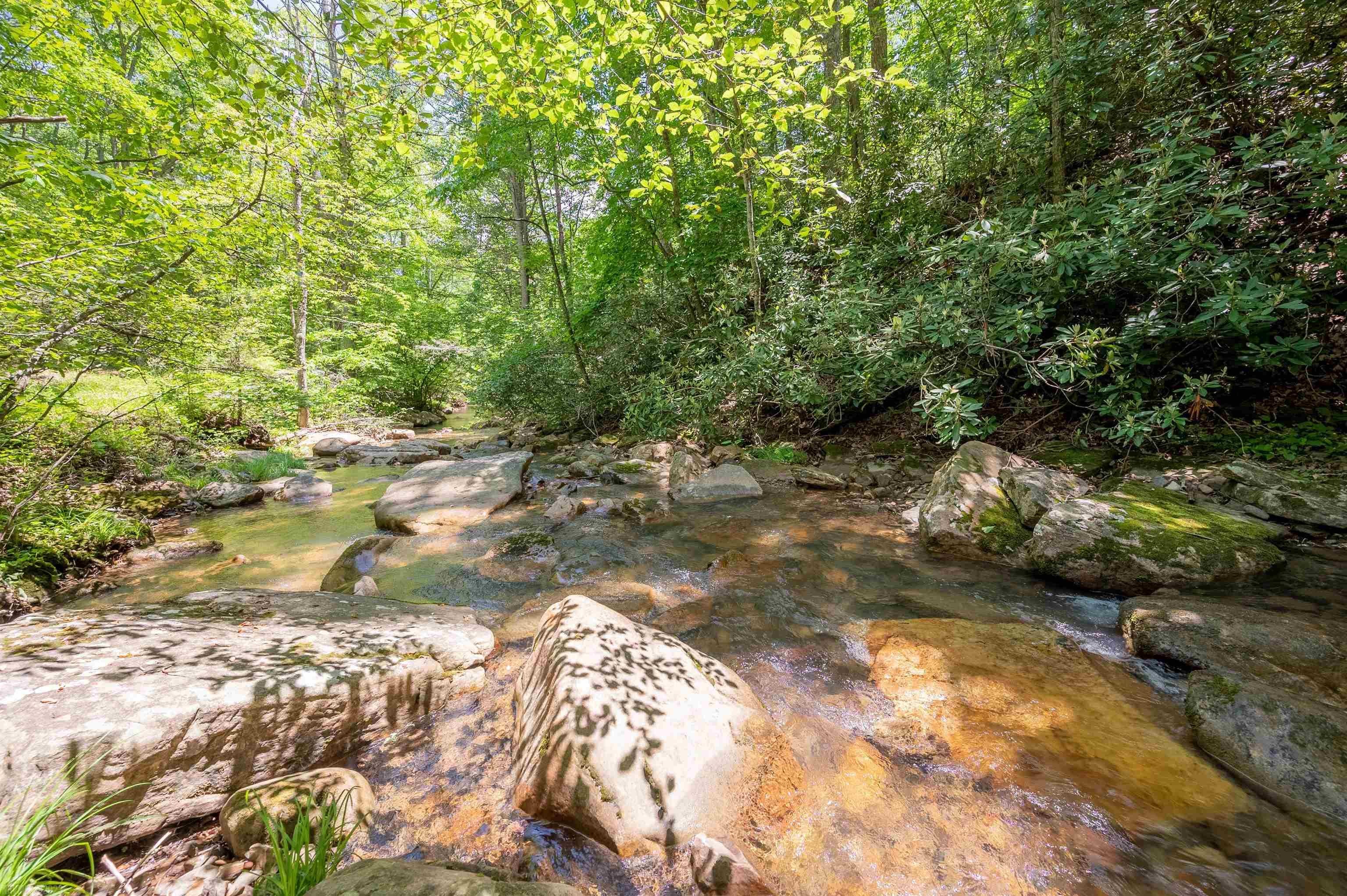 Tbd Tbd Dry Branch Road Dublin, VA 24084 - Photo 2 of 20 Gallery Image 2