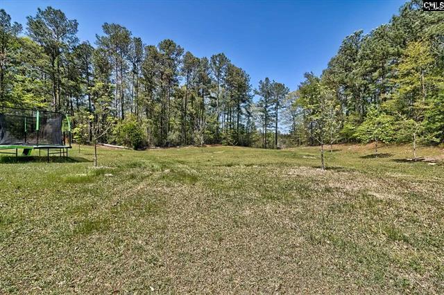 5404 Fairview Road Leesville, SC 29070 - Photo 30 of 36