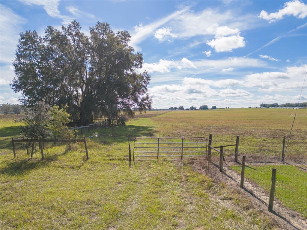 Bur Mac Road Dade City, FL 33525 - Photo 16 of 17