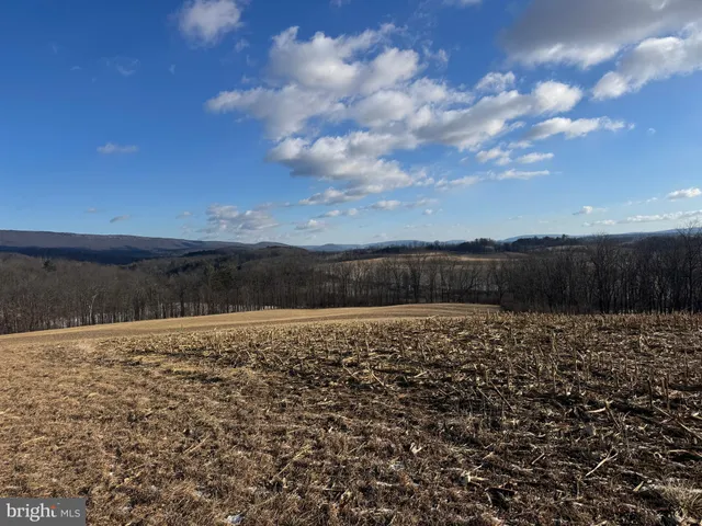 a view of outside space and a yard
