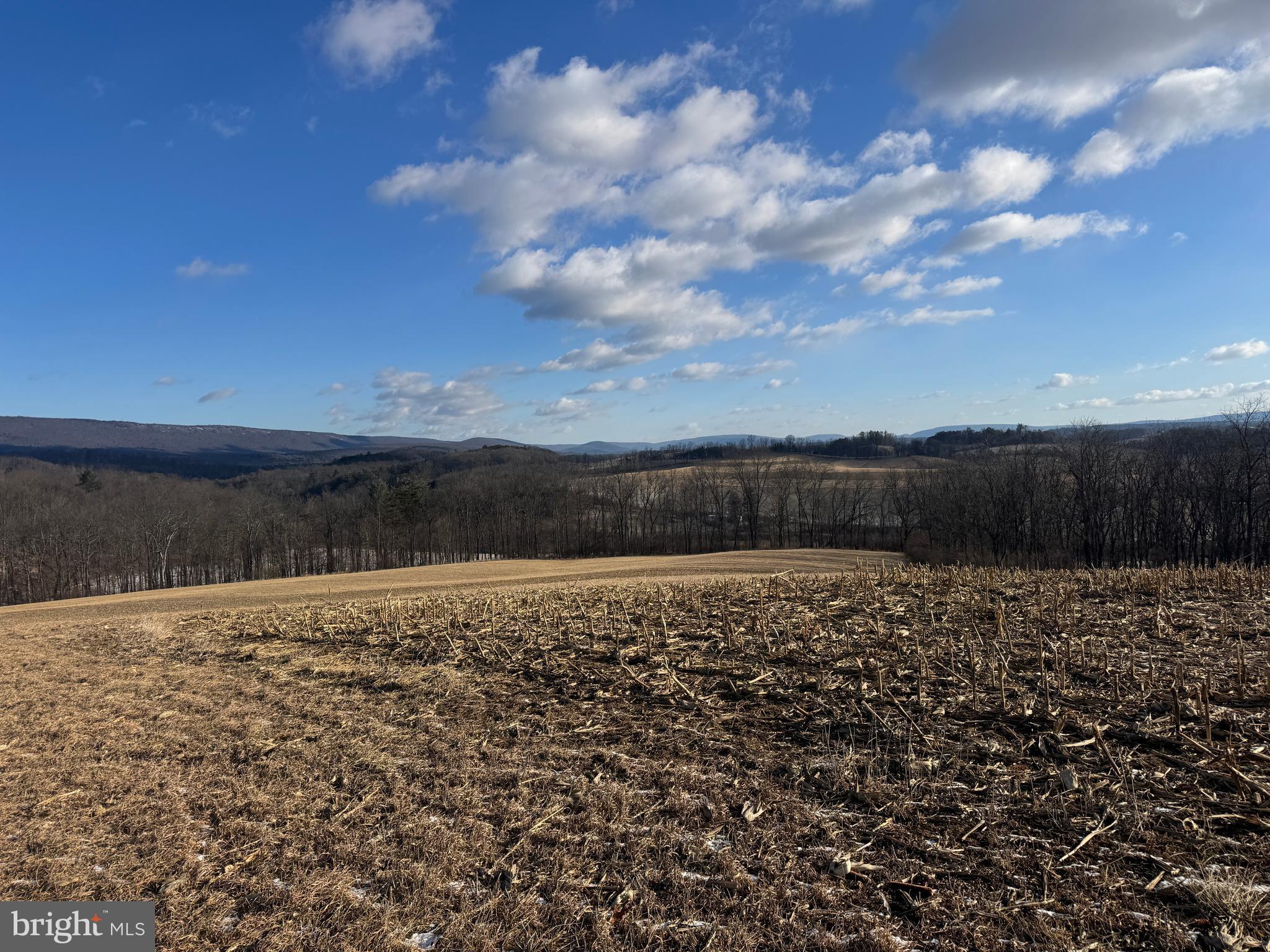 86.10-acres Ormsby Road Petersburg, PA 16669 - Photo 19 of 39