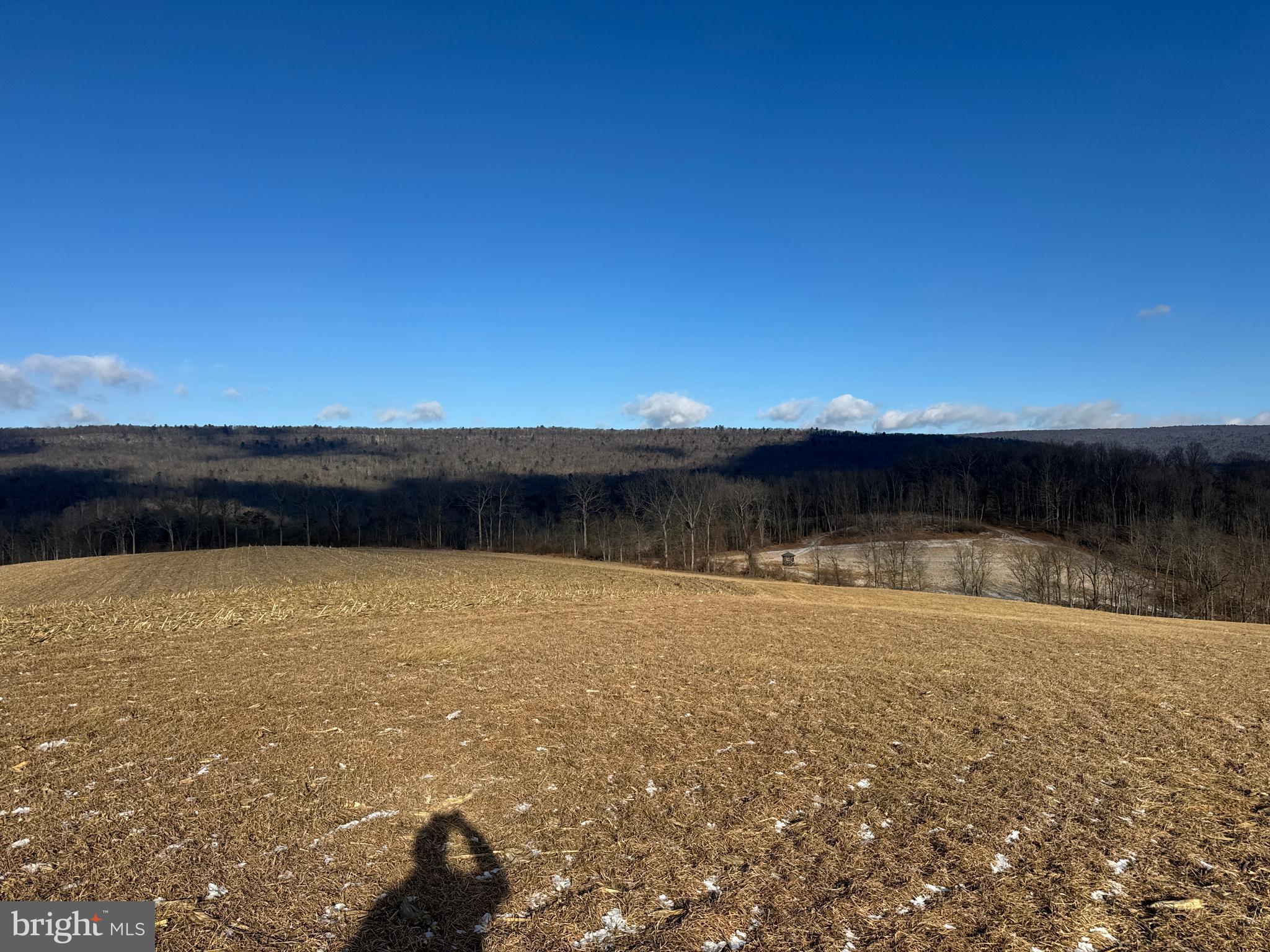 86.10-acres Ormsby Road Petersburg, PA 16669 - Photo 20 of 39