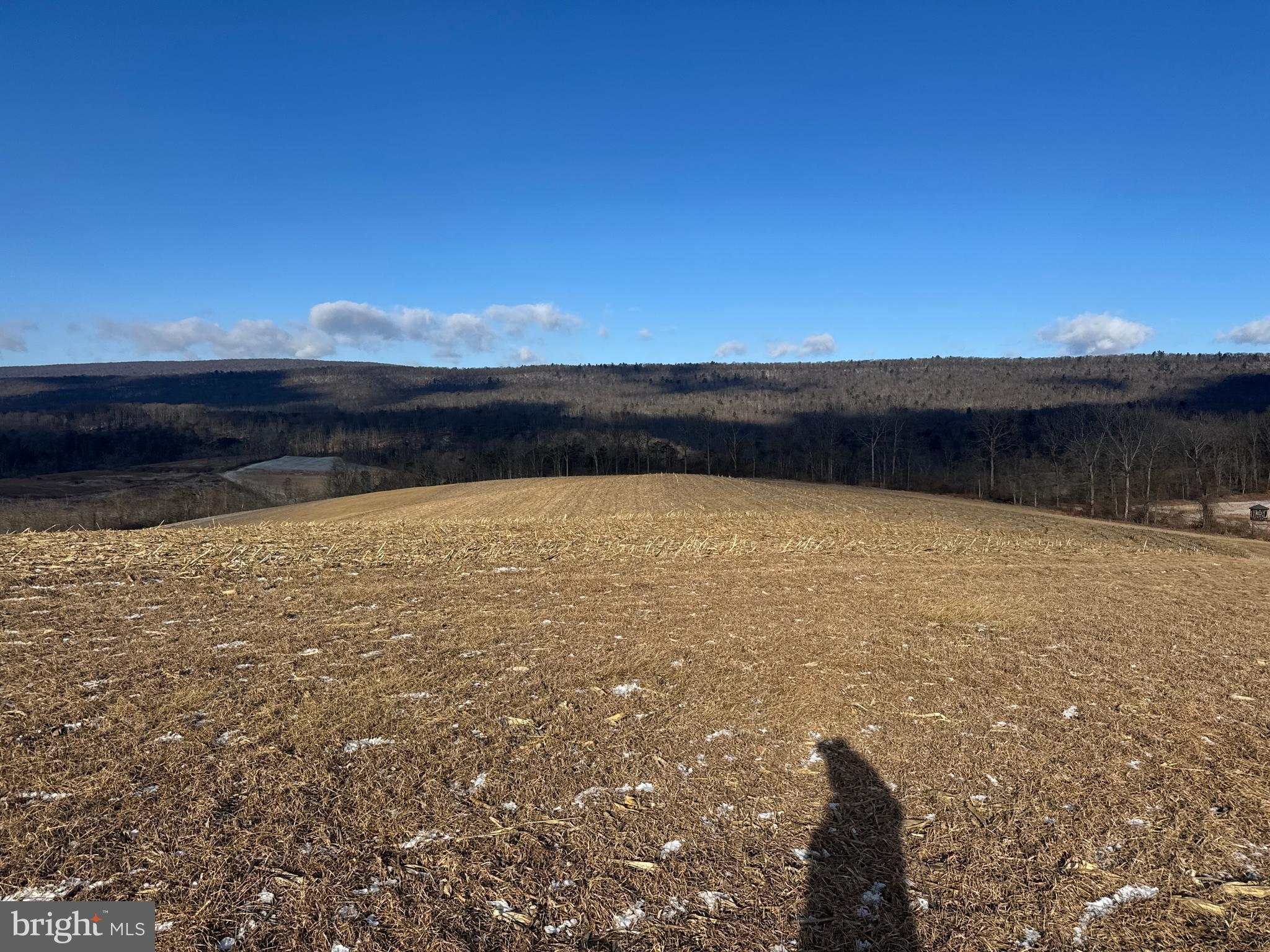 86.10-acres Ormsby Road Petersburg, PA 16669 - Photo 21 of 39