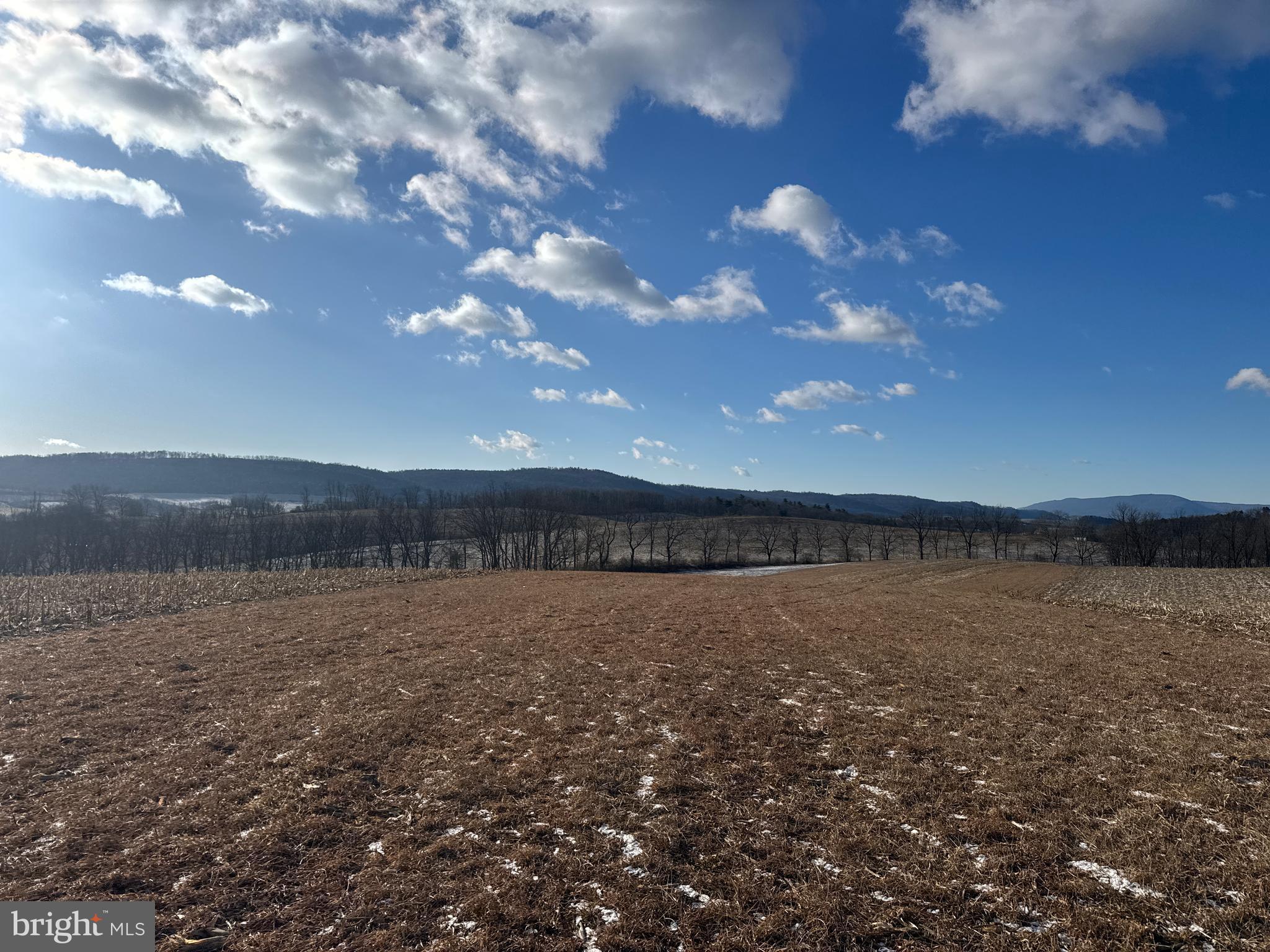 86.10-acres Ormsby Road Petersburg, PA 16669 - Photo 22 of 39