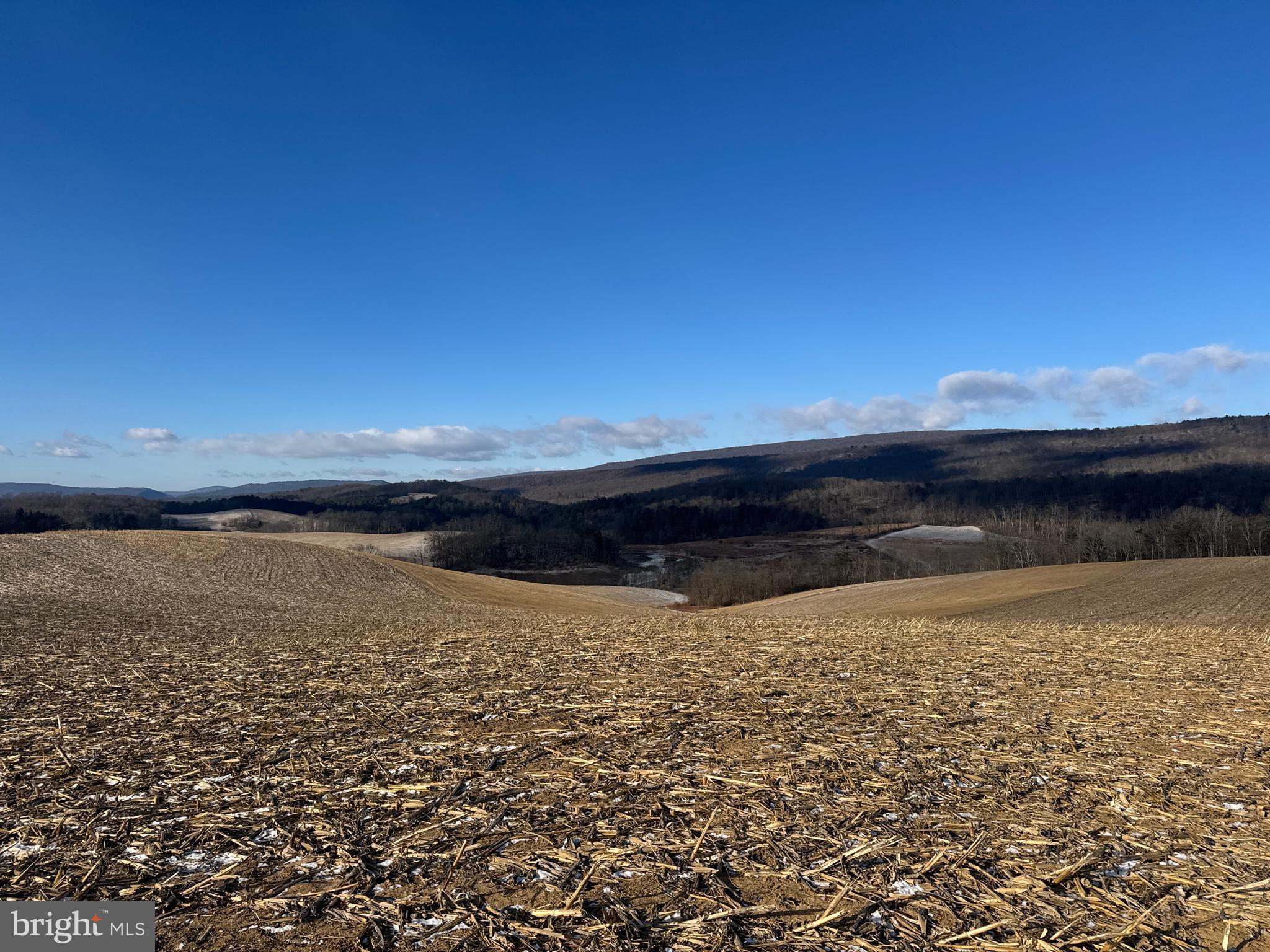 86.10-acres Ormsby Road Petersburg, PA 16669 - Photo 23 of 39