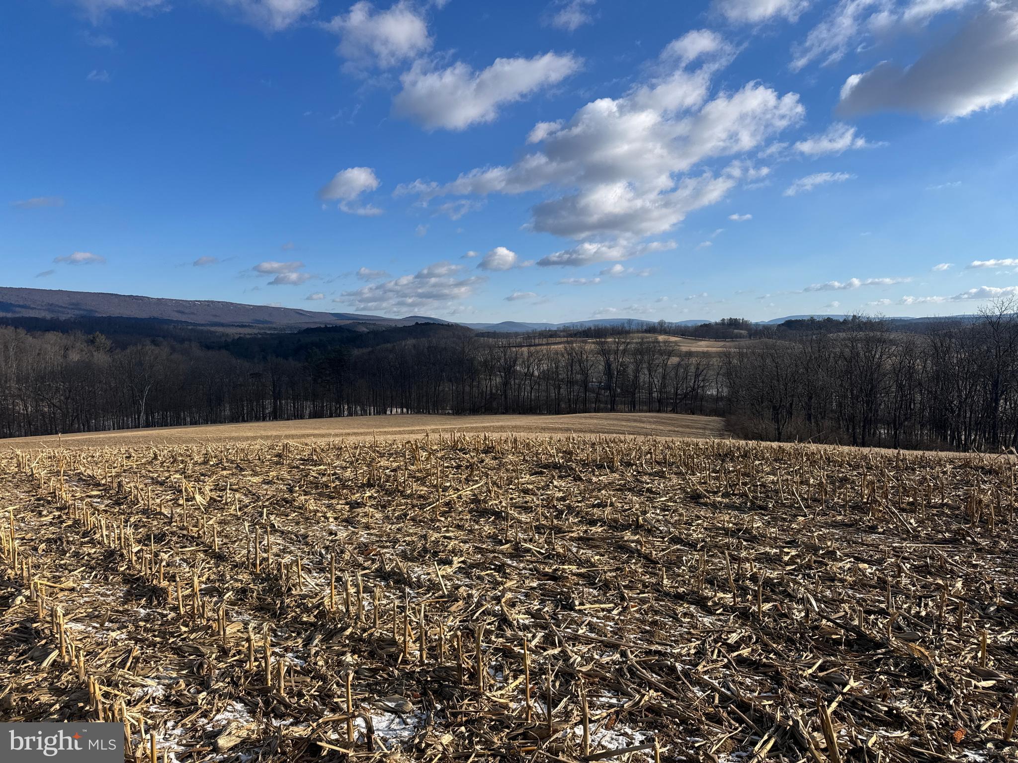 86.10-acres Ormsby Road Petersburg, PA 16669 - Photo 26 of 39
