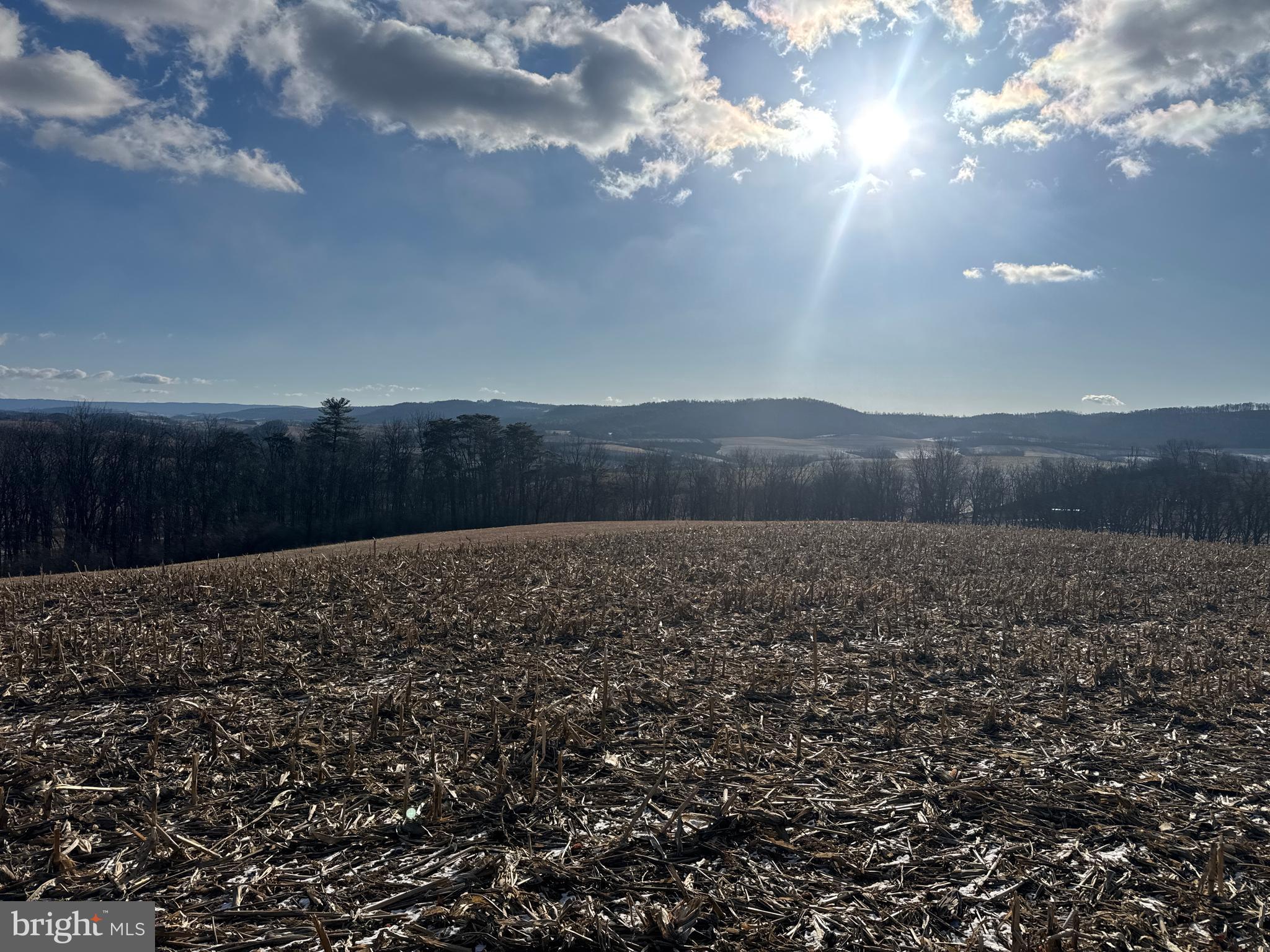 86.10-acres Ormsby Road Petersburg, PA 16669 - Photo 27 of 39