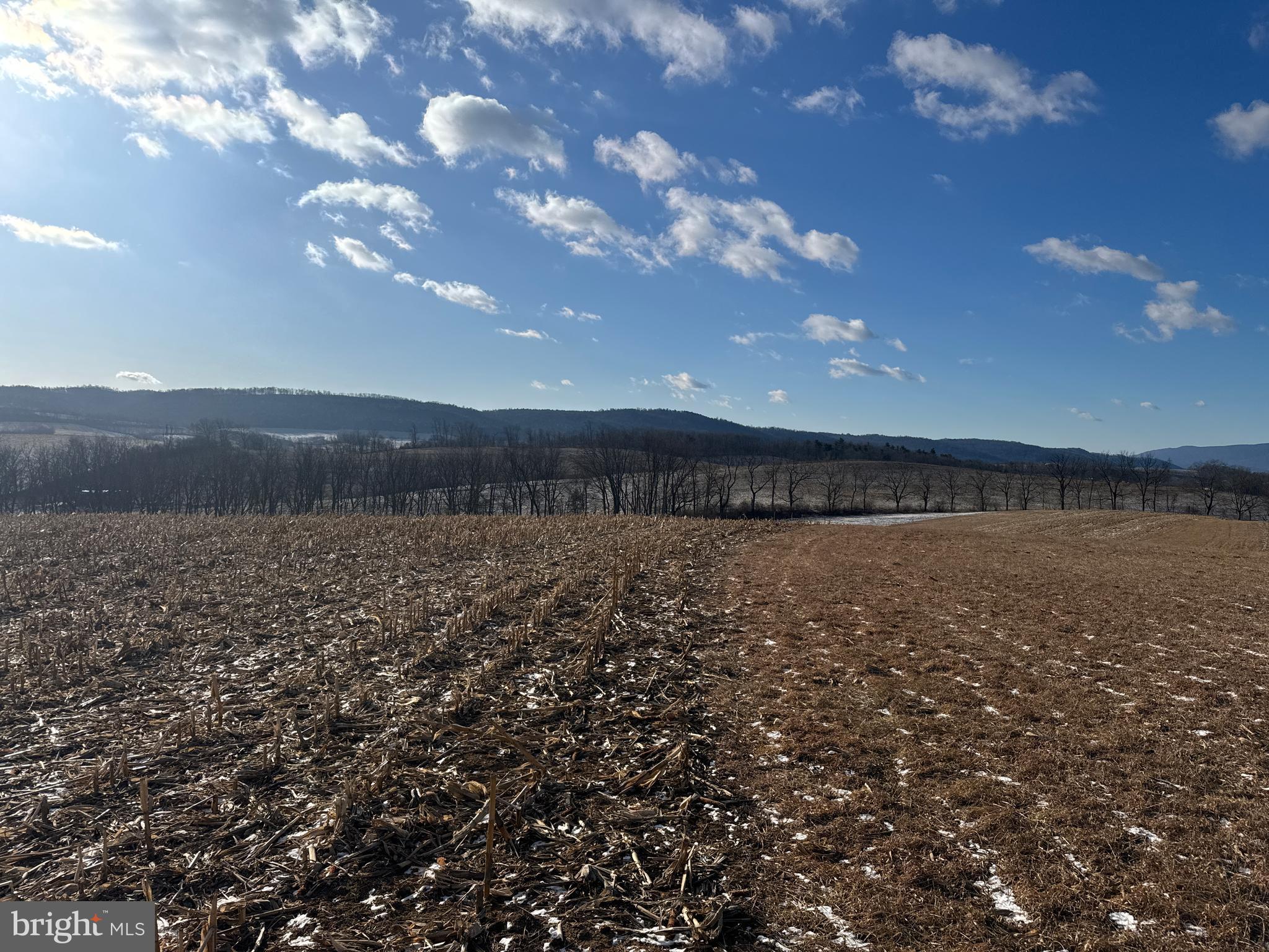 86.10-acres Ormsby Road Petersburg, PA 16669 - Photo 28 of 39