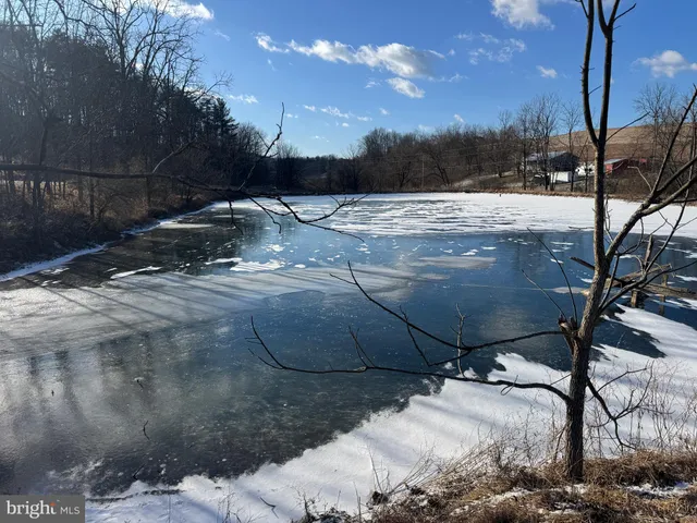 a view of a backyard of a house