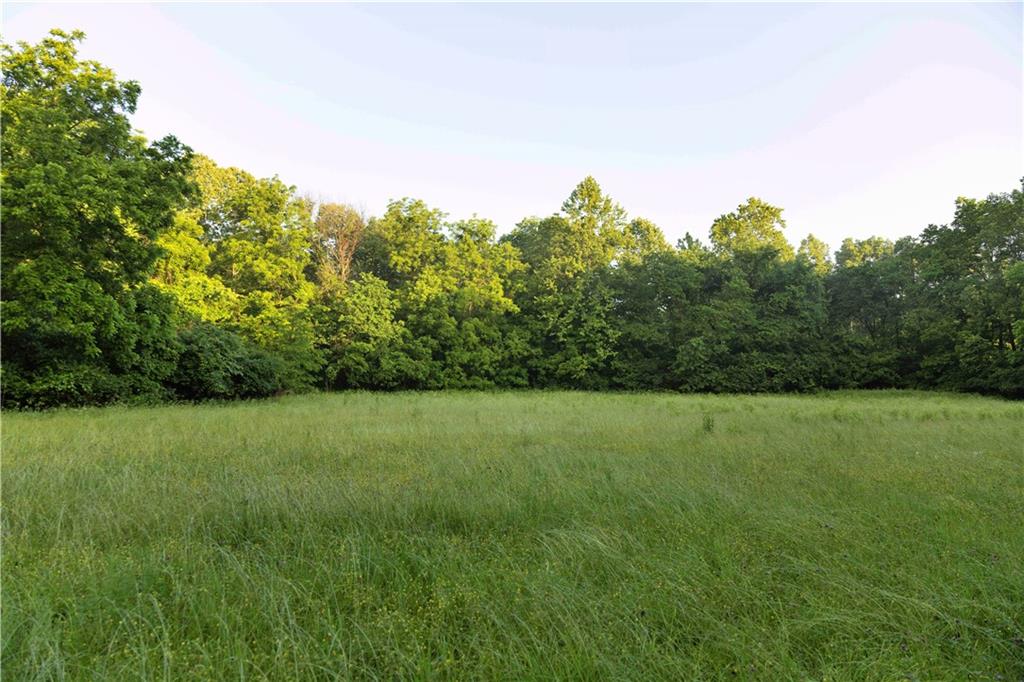 Wilderness Camp Road Lawson, MO 64062 - Photo 20 of 90