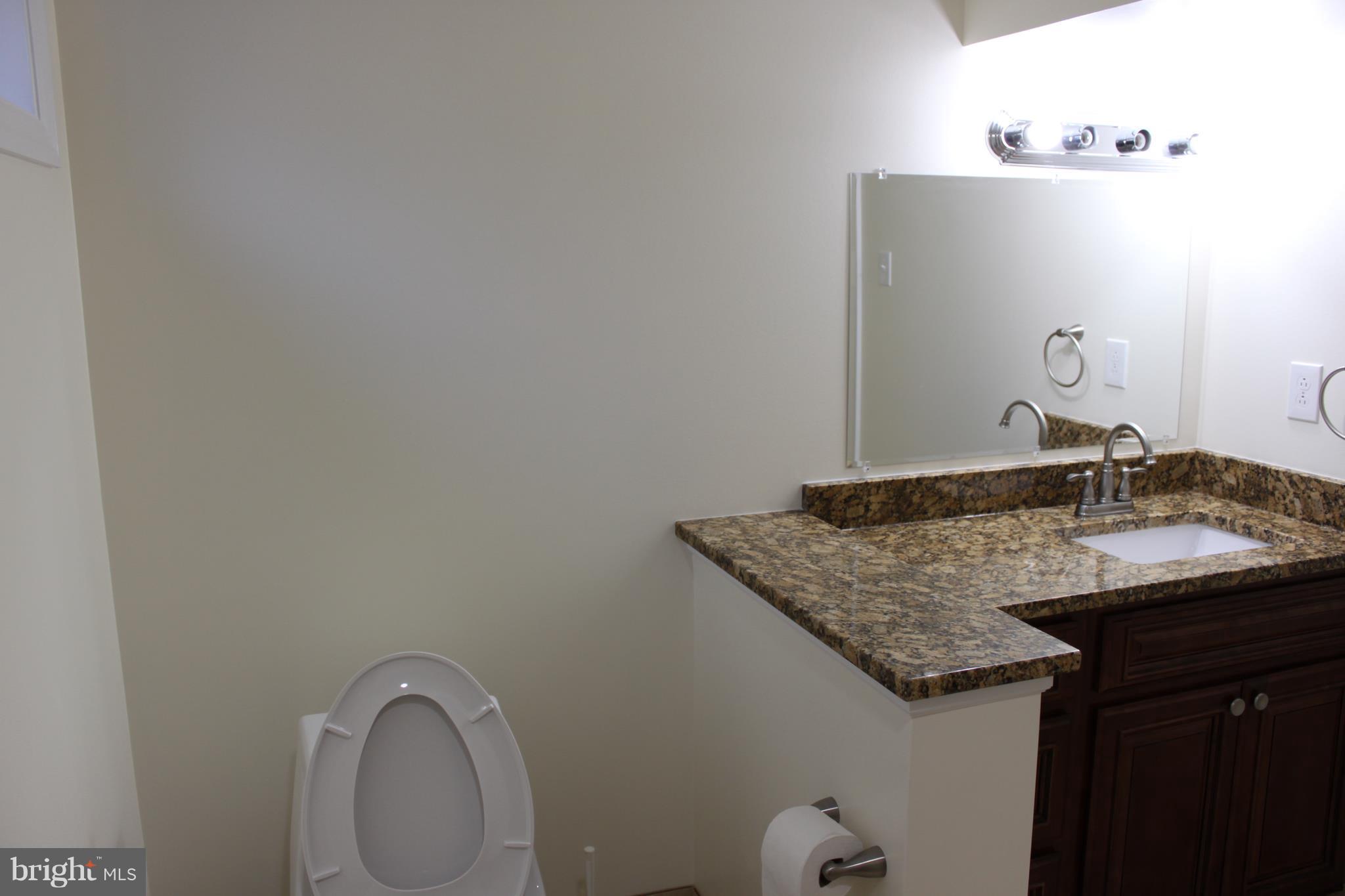 10203 Brunswick Avenue Silver Spring, MD 20902 - Photo 25 of 31 Bath basement