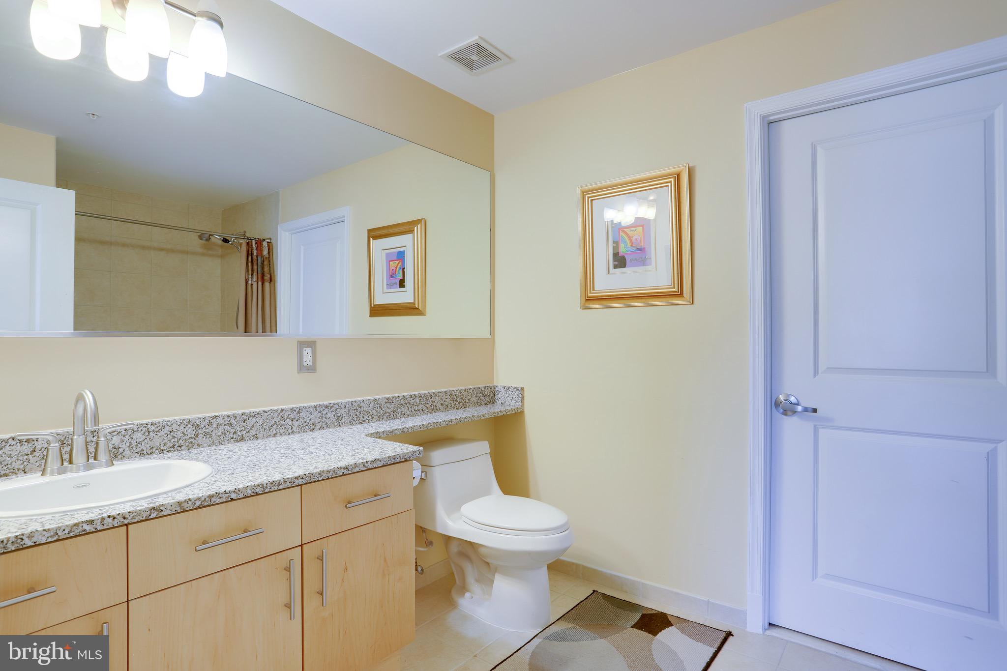 715 6th Street Northwest, Unit 1202 Washington, DC 20001 - Photo 35 of 66 Sizeable main bathroom