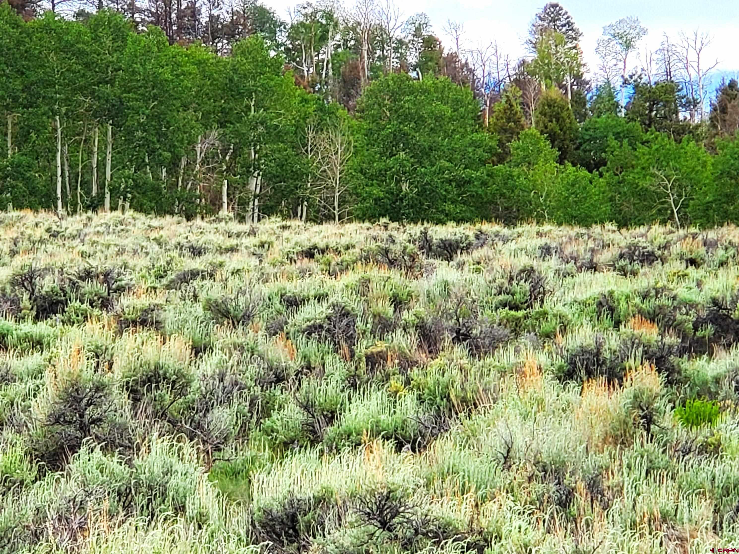 3662-63 County Rd 25  