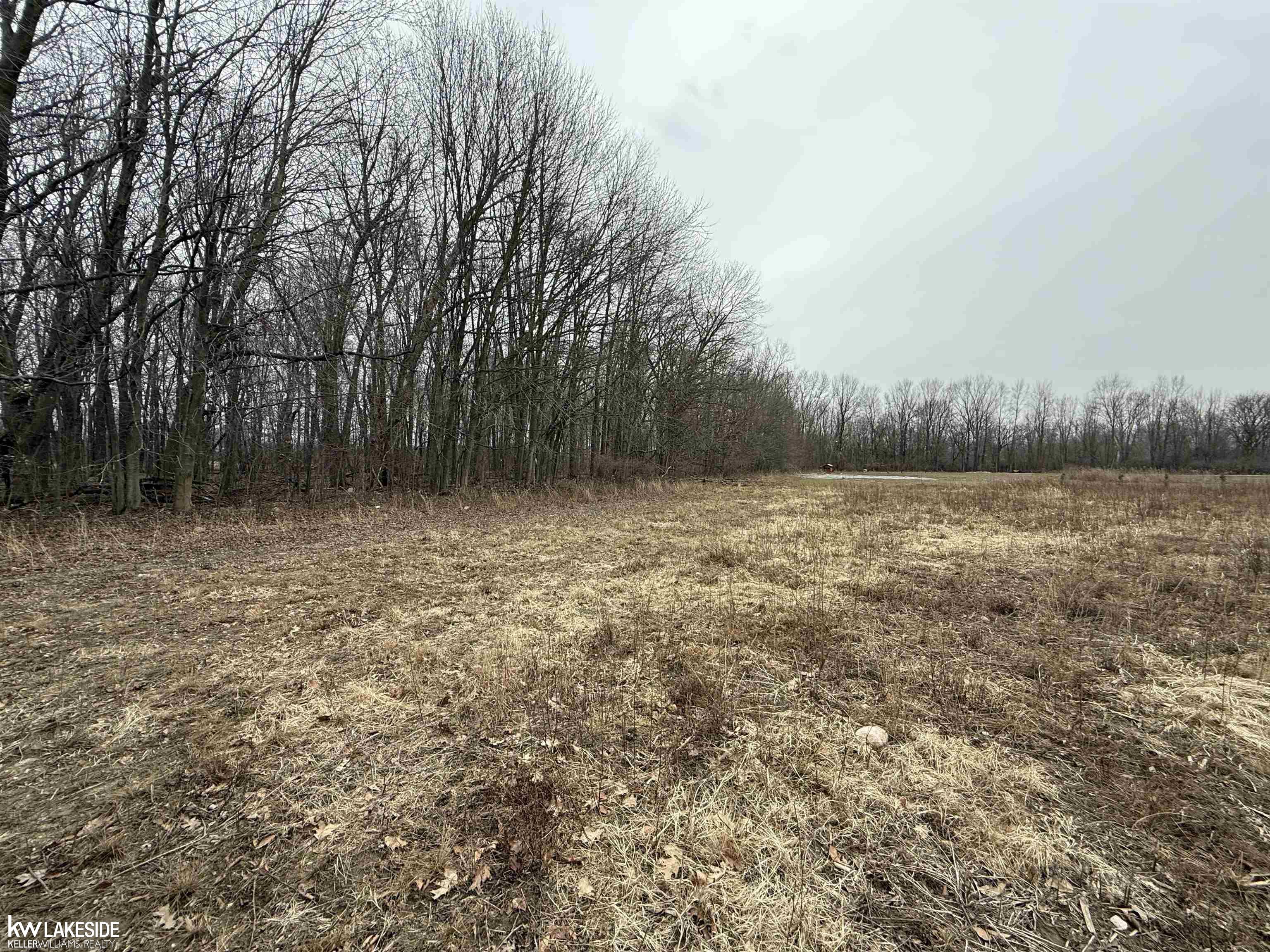 0 Cove Road Goodells, MI 48027 - Photo 20 of 25