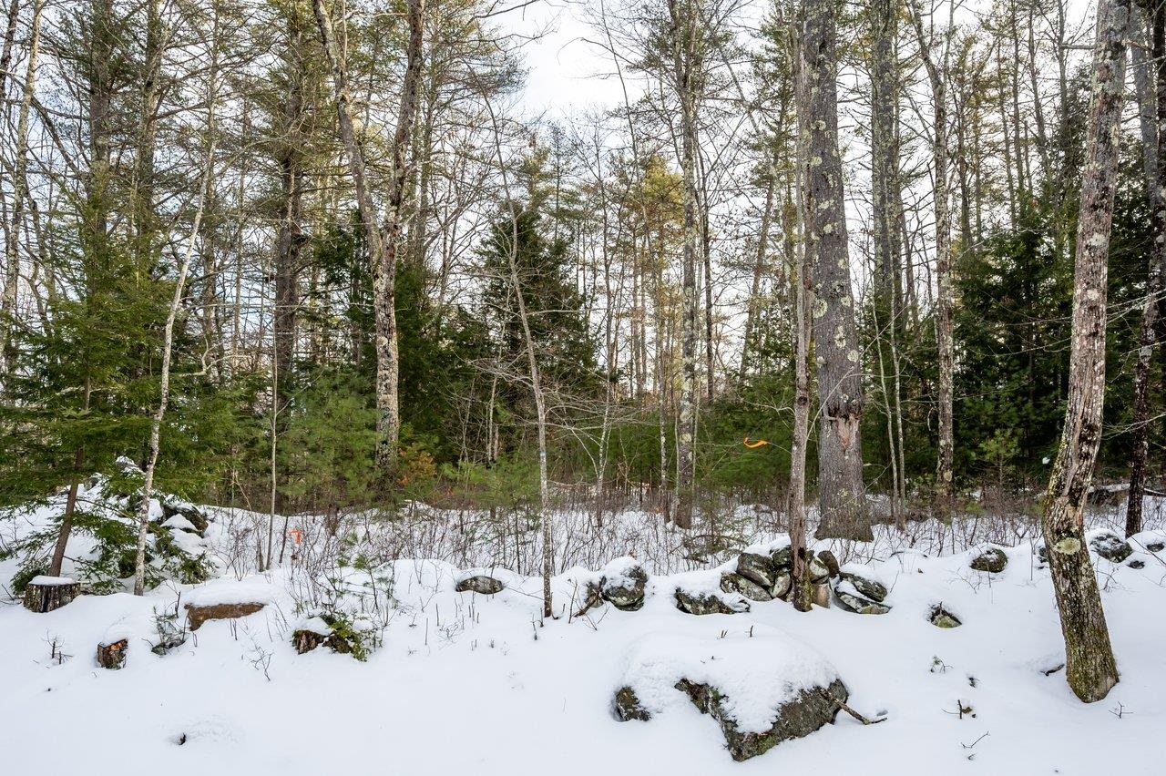 43 Greenhill Road Barrington, NH 03825 - Photo 8 of 8