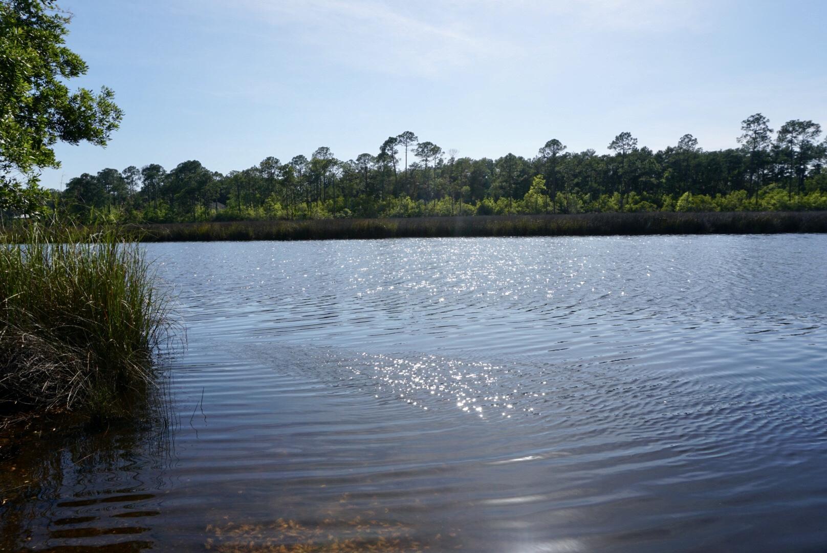 87 Wayne Trail Santa Rosa Beach, FL 32459 - Photo 6 of 11 a view of lake
