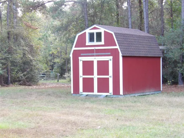 a view of a forest with trees in the background
