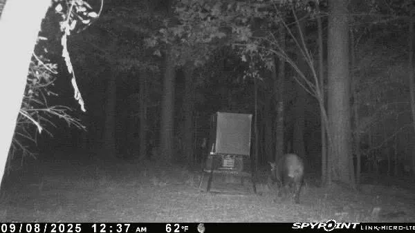 a view of small space