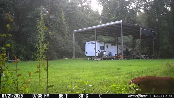 a backyard of a house with bicycles and trees