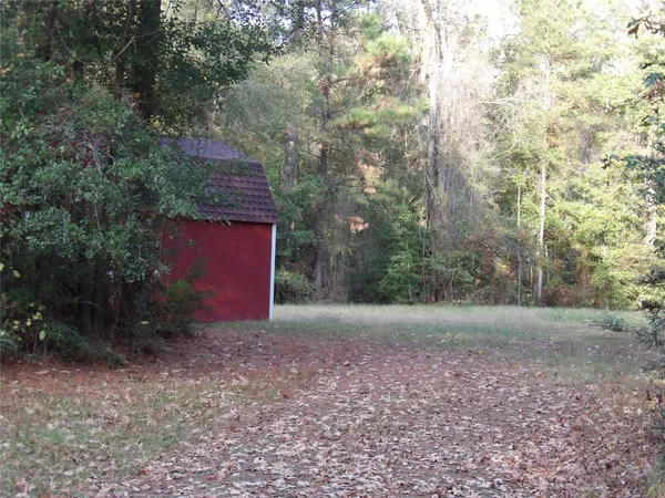 a view of a yard with plants and trees