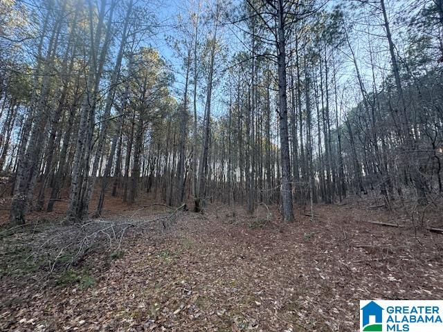 170 Valley Grove Road, Unit 45 AC Cragford, AL 36255 - Photo 13 of 19