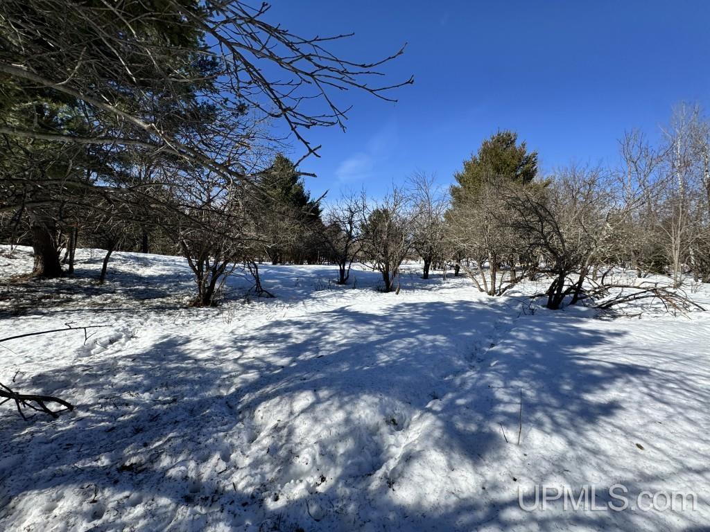 Tbd Bellaire Road Baraga, MI 49908 - Photo 16 of 20
