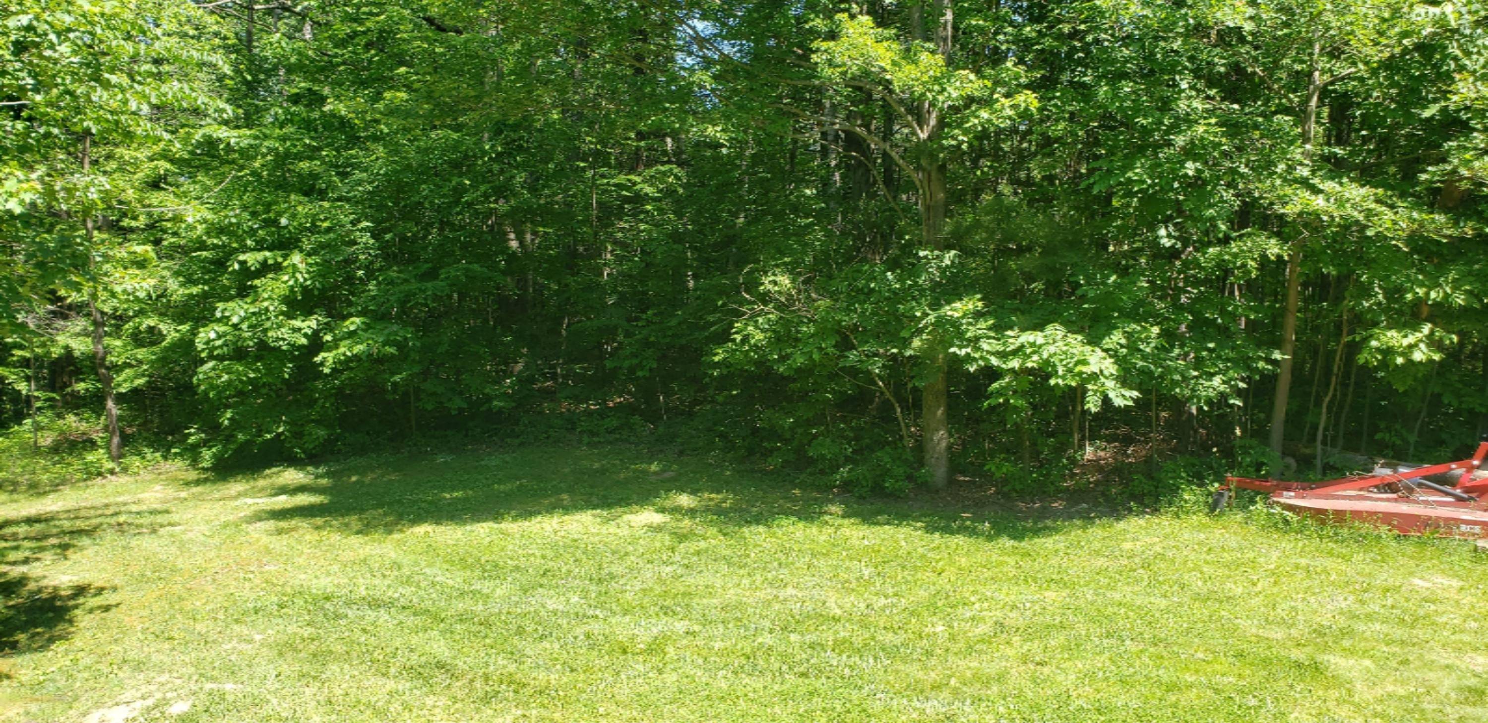 17426 4 Mile Road Morley, MI 49336 - Photo 11 of 39 20200616_154057