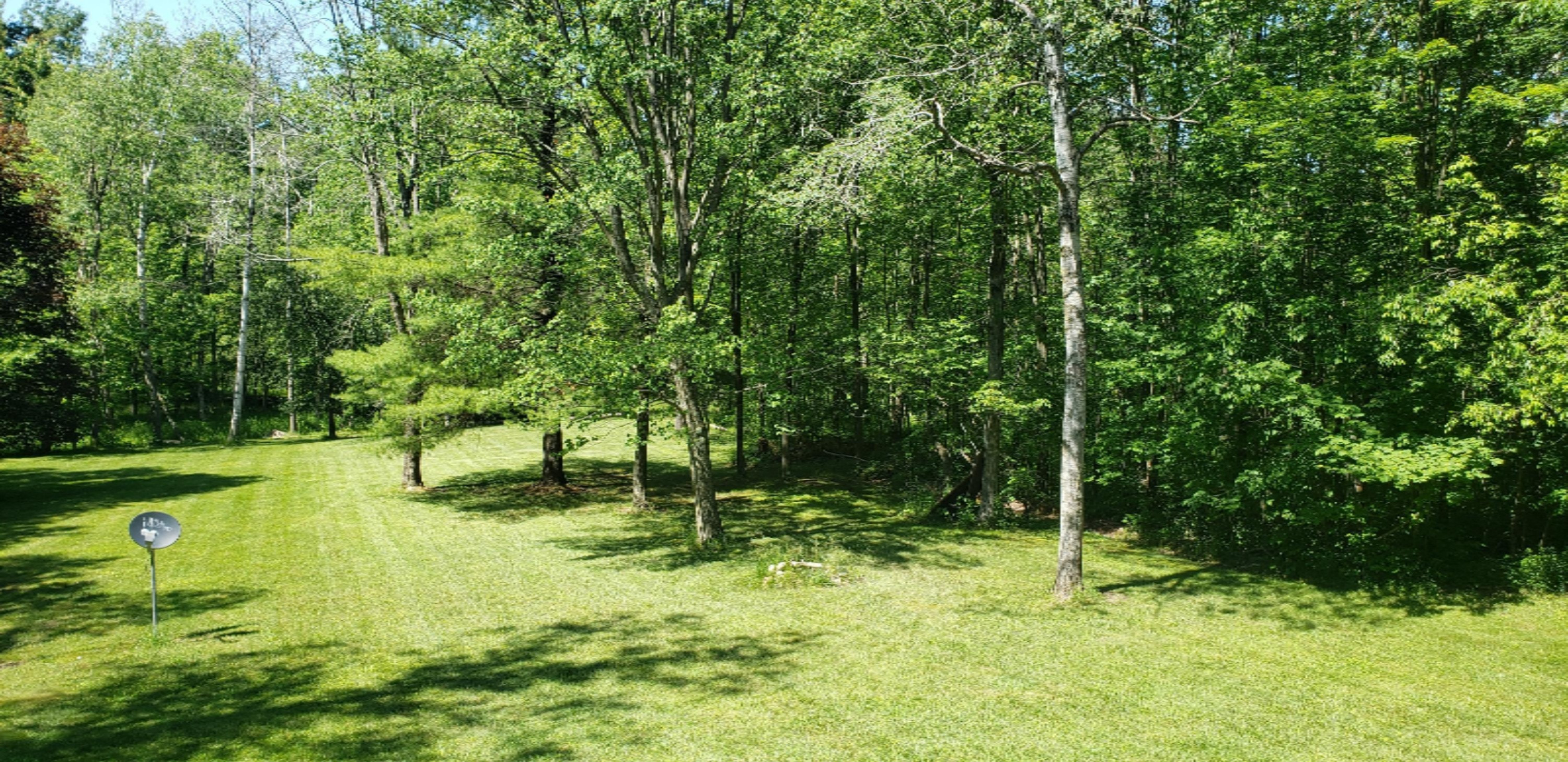 17426 4 Mile Road Morley, MI 49336 - Photo 3 of 39 20200616_153925