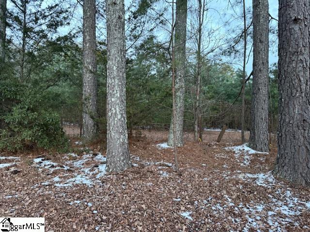 6122 Locust Hill Road Travelers Rest, SC 29690 - Photo 28 of 33