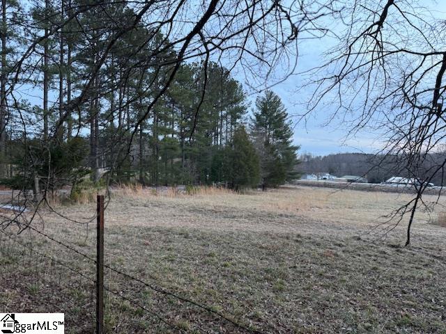 6122 Locust Hill Road Travelers Rest, SC 29690 - Photo 29 of 33