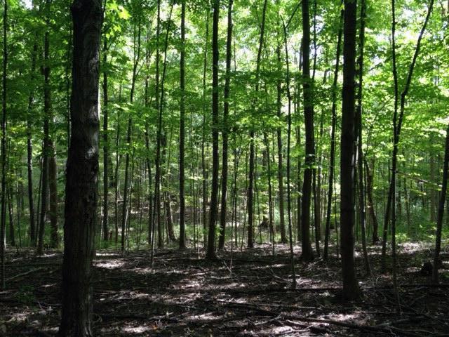 0 Larue-Prospect Road South Prospect, OH 43342 - Photo 2 of 7