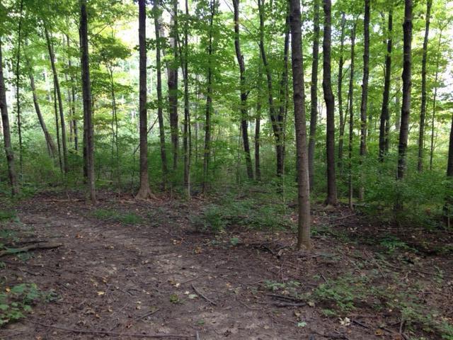 0 Larue-Prospect Road South Prospect, OH 43342 - Photo 5 of 7