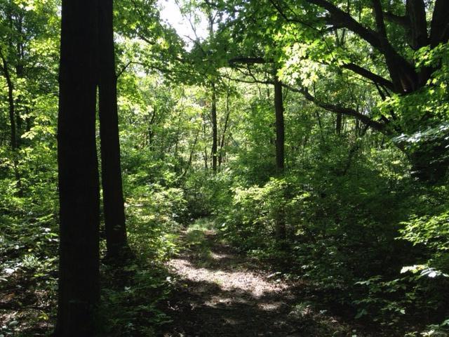 0 Larue-Prospect Road South Prospect, OH 43342 - Photo 6 of 7