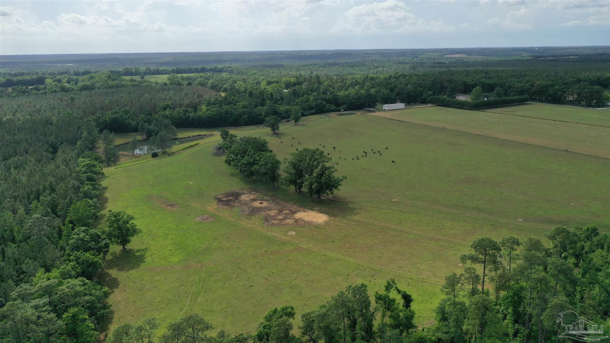 Lot 5 Hall Road Jay, FL 32565 - Photo 1 of 6 Gallery Image 1